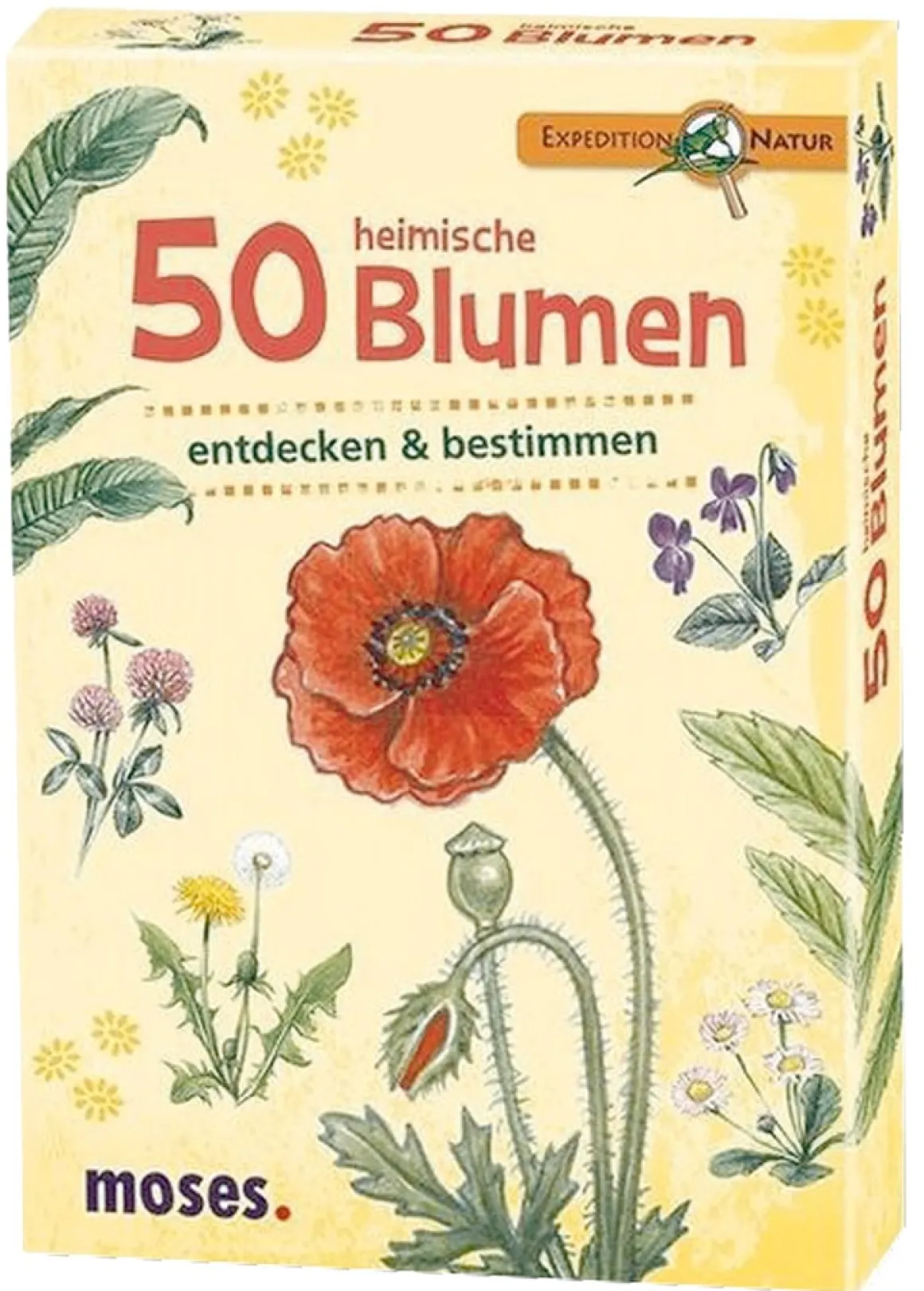 50 heimische Blumen entdecken & bestimmen.