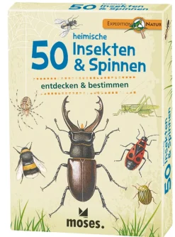 50 heimische Insekten & Spinnen entdecken & bestimmen.