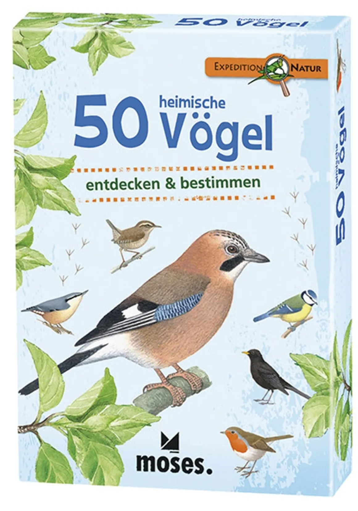 50 heimische Vögel entdecken & bestimmen.
