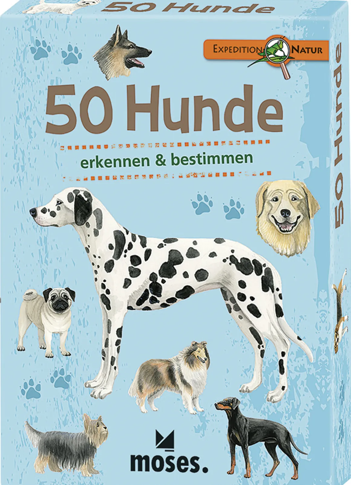 50 Hunde.