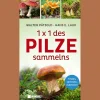 1 x 1 des Pilzesammelns. Finden, sammeln, zubereiten.