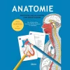 Anatomie - Anleitung und Malkarten zum Selbststudium. Der einfache Weg, die menschliche Anatomie zu verstehen.