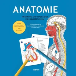 Anatomie - Anleitung und Malkarten zum Selbststudium. Der einfache Weg, die menschliche Anatomie zu verstehen.