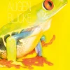 Augenblicke: Reptilien - Amphibien