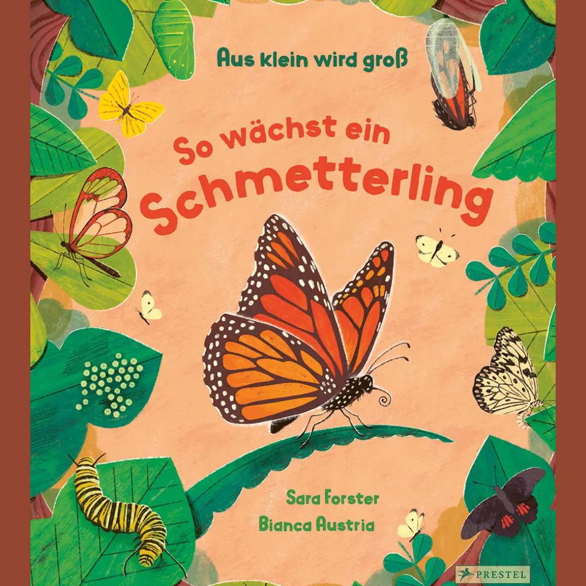 Aus klein wird groß. So wächst ein Schmetterling.