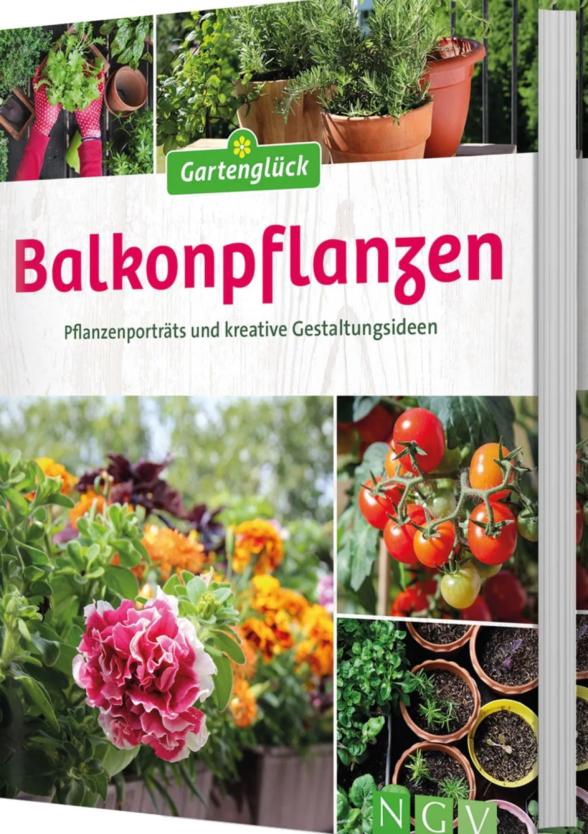 Balkonpflanzen. Pflanzenporträts und kreative Gestaltungsideen.