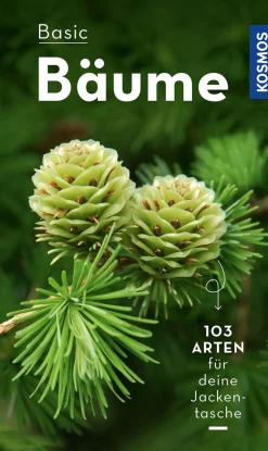 Basic Bäume.