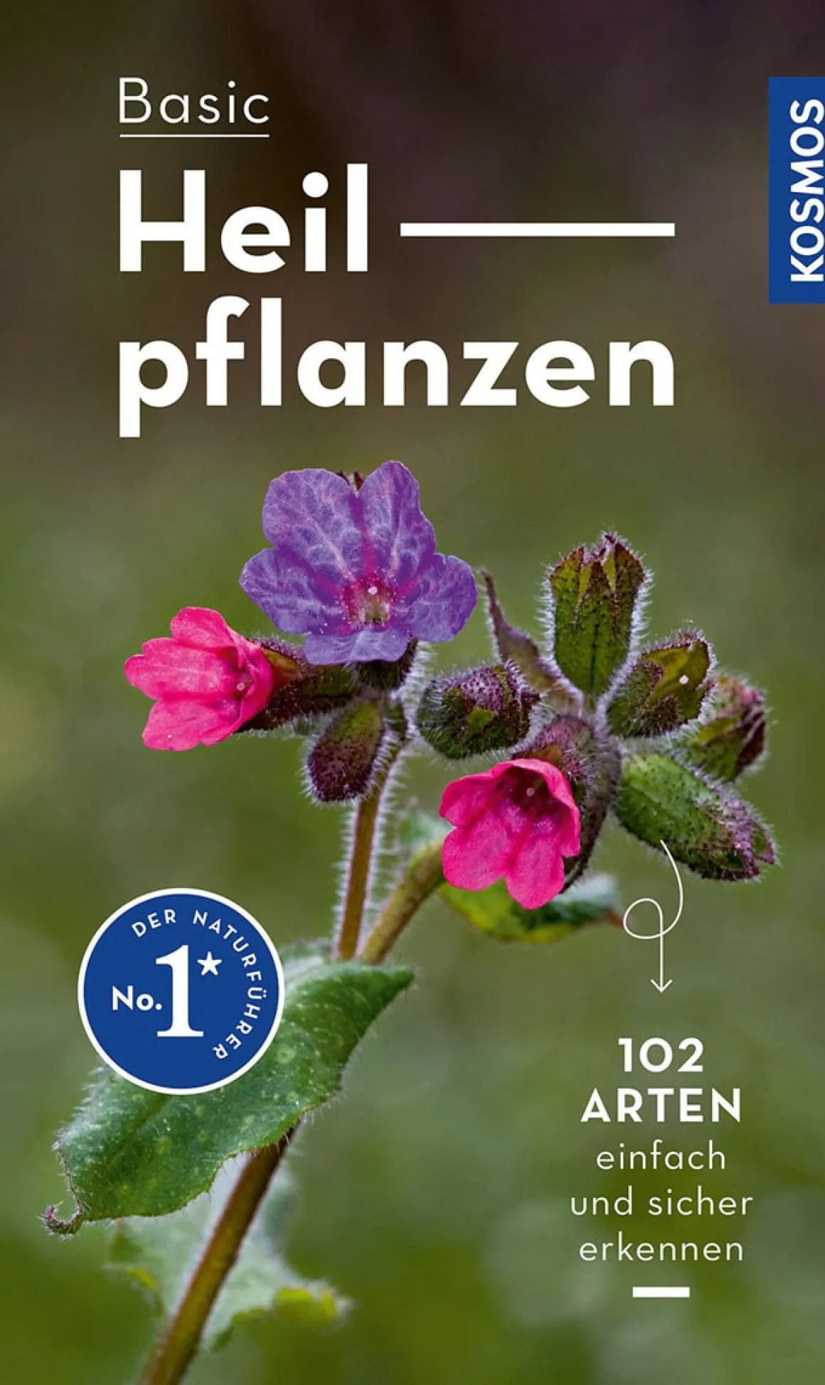 Basic Heilpflanzen.