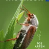 Basic Insekten.