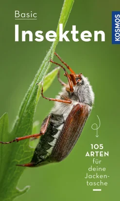 Basic Insekten.