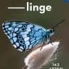 Basic Schmetterlinge.