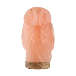 Beleuchteter Salzkristall „Eule“
