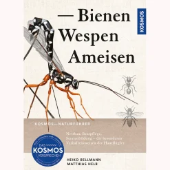 Bienen, Wespen, Ameisen.