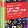 Bildatlas der Farn- und Blütenpflanzen Deutschlands.