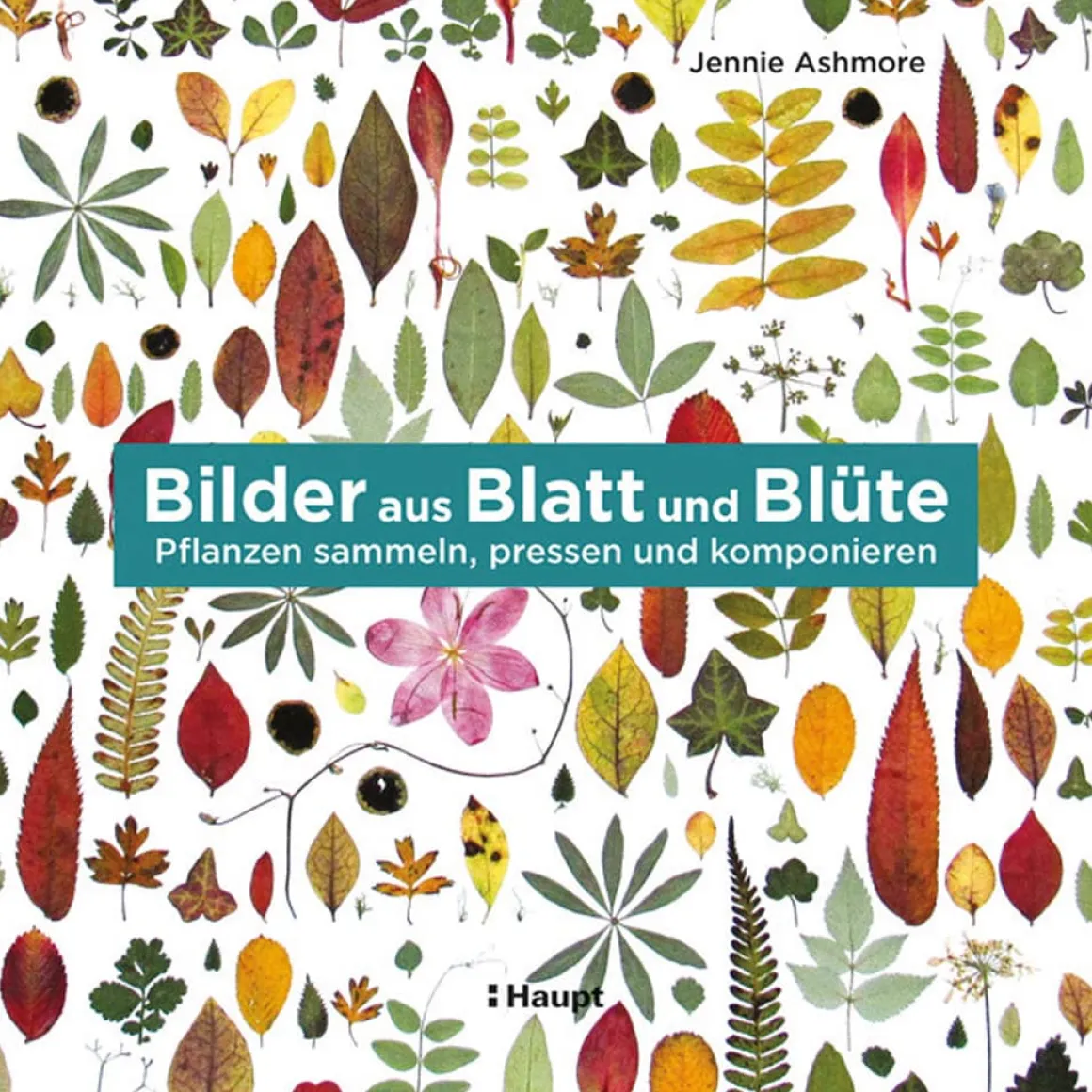 Bilder aus Blatt und Blüte. Pflanzen, sammeln, pressen und komponieren.