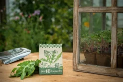 Bio-Saatgut Rucola »Grazia« (Diplotaxis tenuifolia).