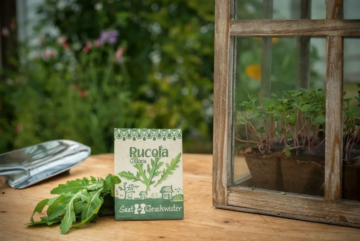 Bio-Saatgut Rucola »Grazia« (Diplotaxis tenuifolia).