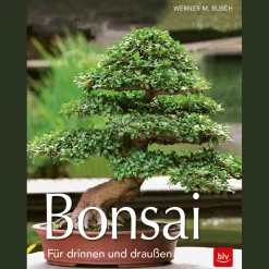 Bonsai. Für drinnen und draußen.
