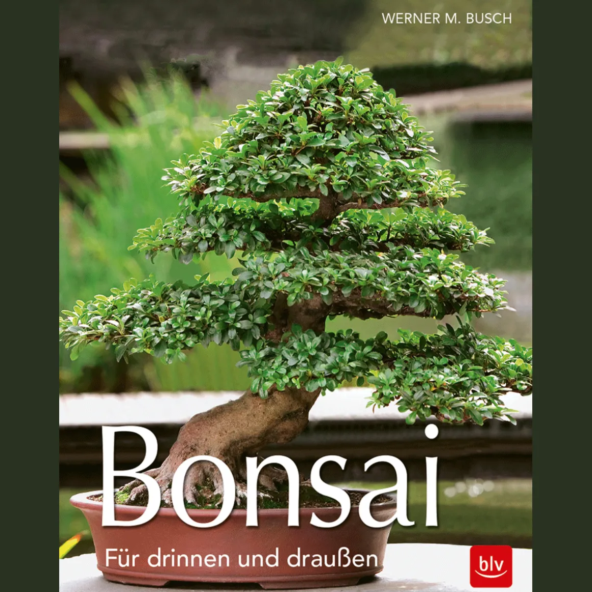 Bonsai. Für drinnen und draußen.