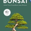 Bonsai. Vom Grundkurs zum Meister.