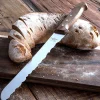 Brotmesser »Zugspitze«.
