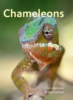 Chameleons.