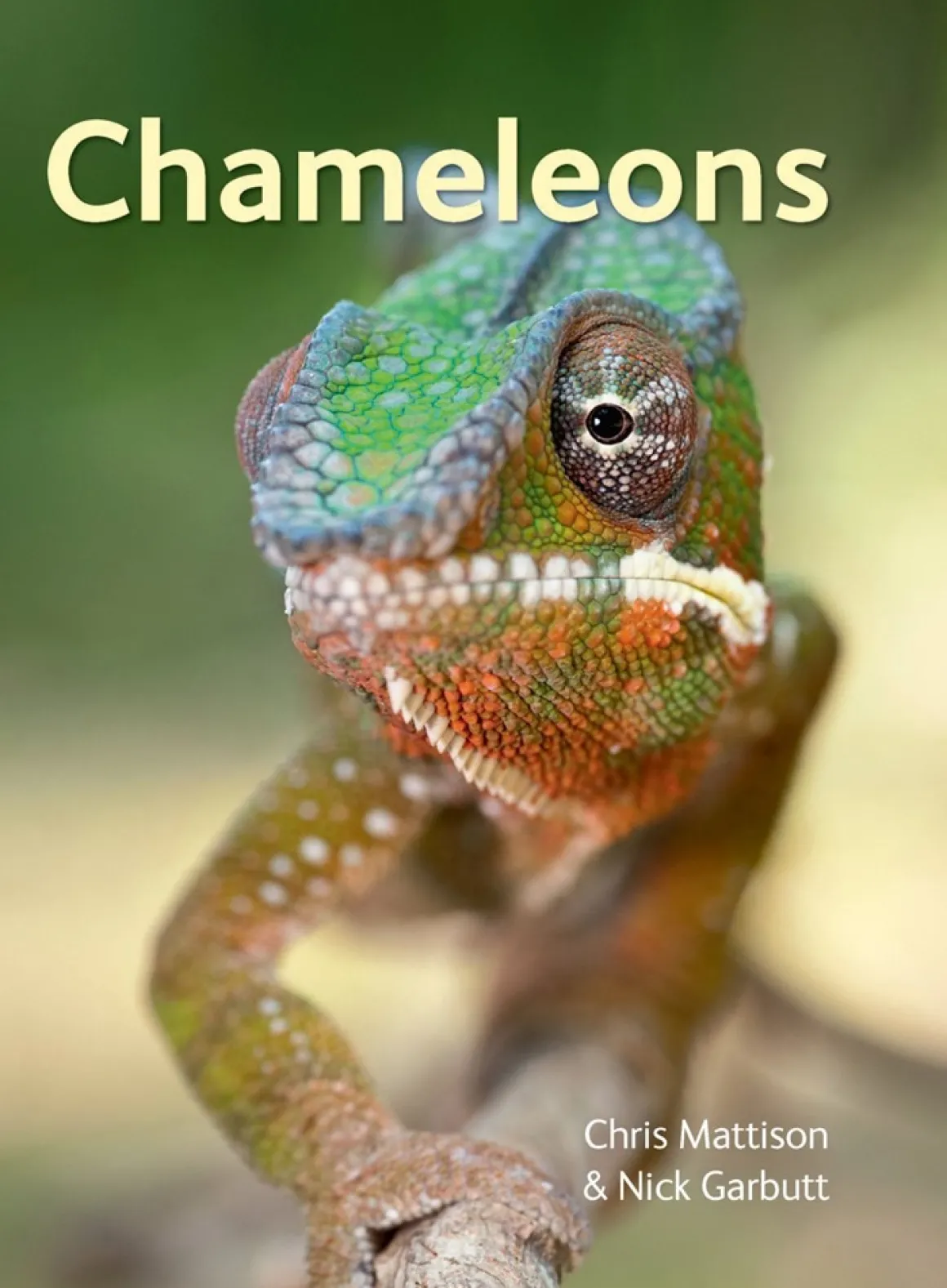 Chameleons.