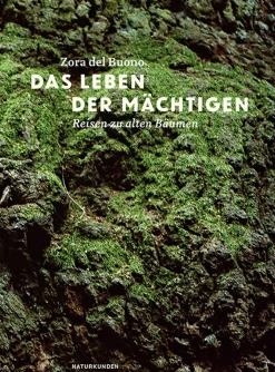 Das Leben der Mächtigen. Reisen zu alten Bäumen.