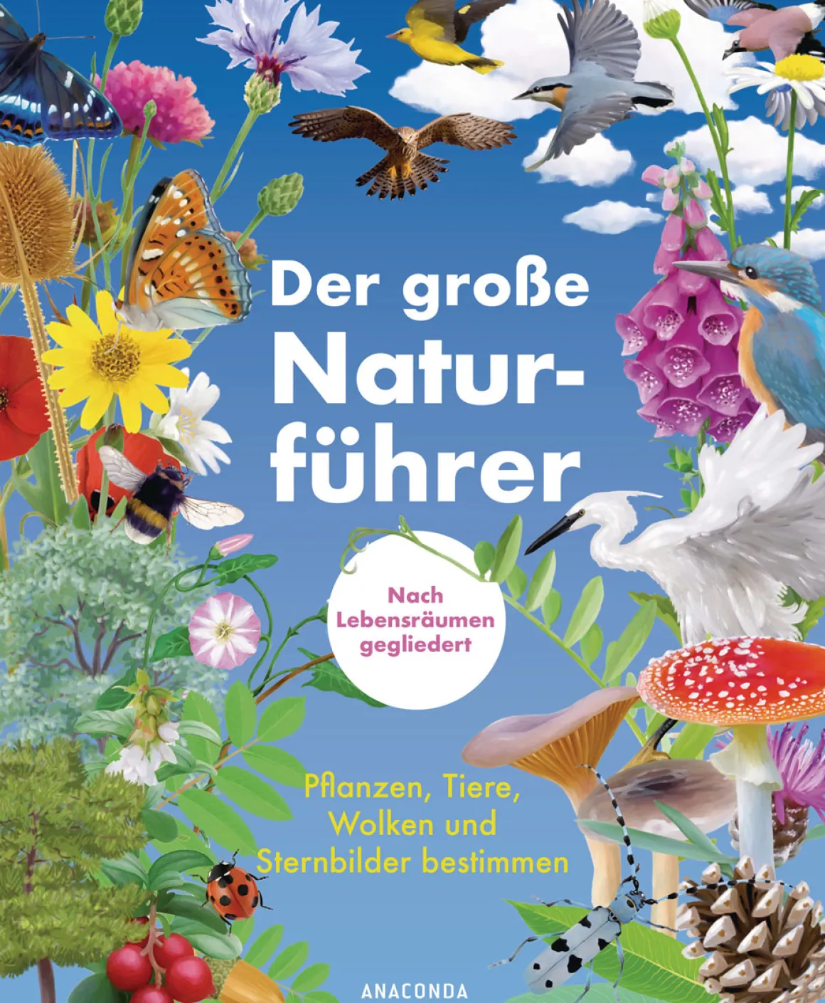 Der große Naturführer. Pflanzen, Tiere, Wolken und Sternbilder bestimmen.
