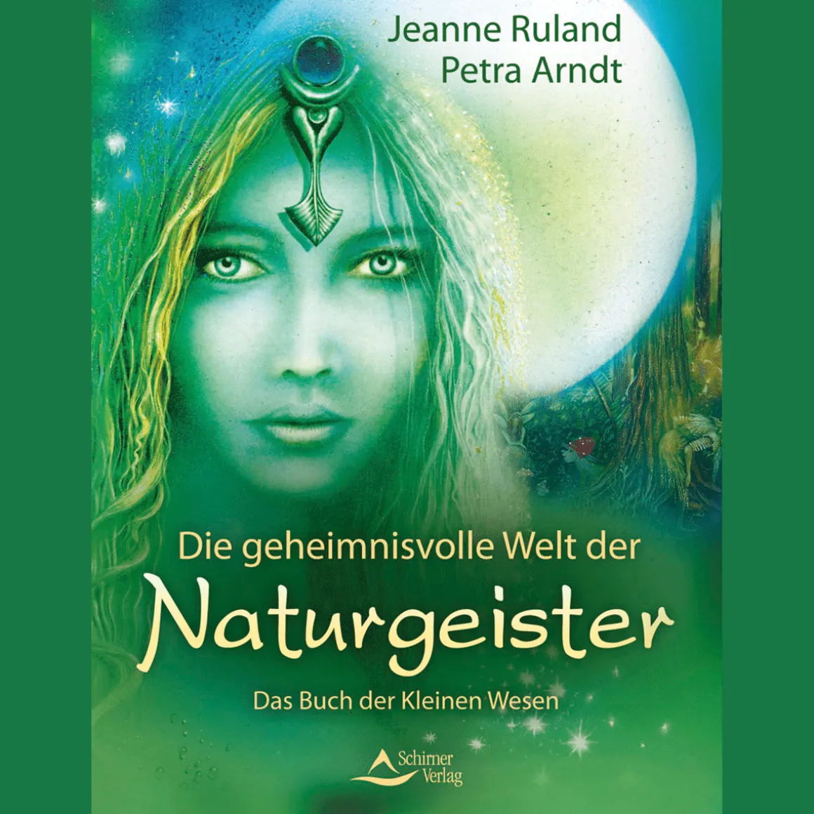 Die geheimnisvolle Welt der Naturgeister: Das Buch der Kleinen Wesen.