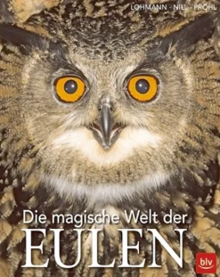 Die magische Welt der Eulen.