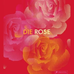 Die Rose. in Fotografie, Grafik, Kunst, Kunsthandwerk und Mode.