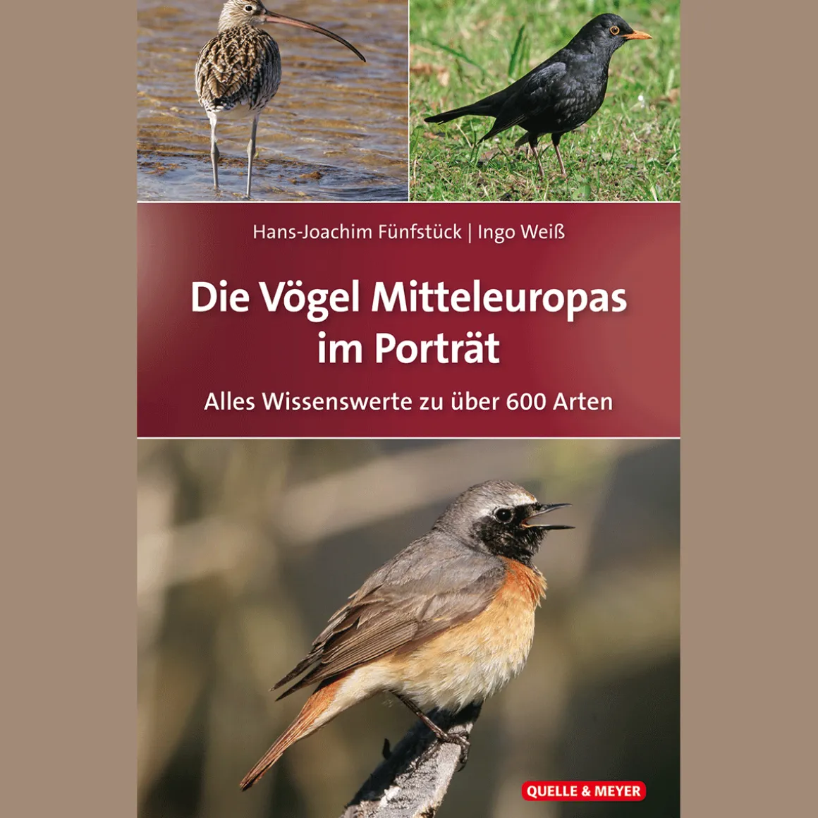 Die Vögel Mitteleuropas im Porträt. Alles Wissenswerte zu über 600 Arten.
