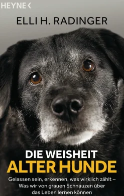 Die Weisheit alter Hunde. Gelassen sein, erkennen, was wirklich zählt. Was wir von grauen Schnauzen über das Leben lernen können.