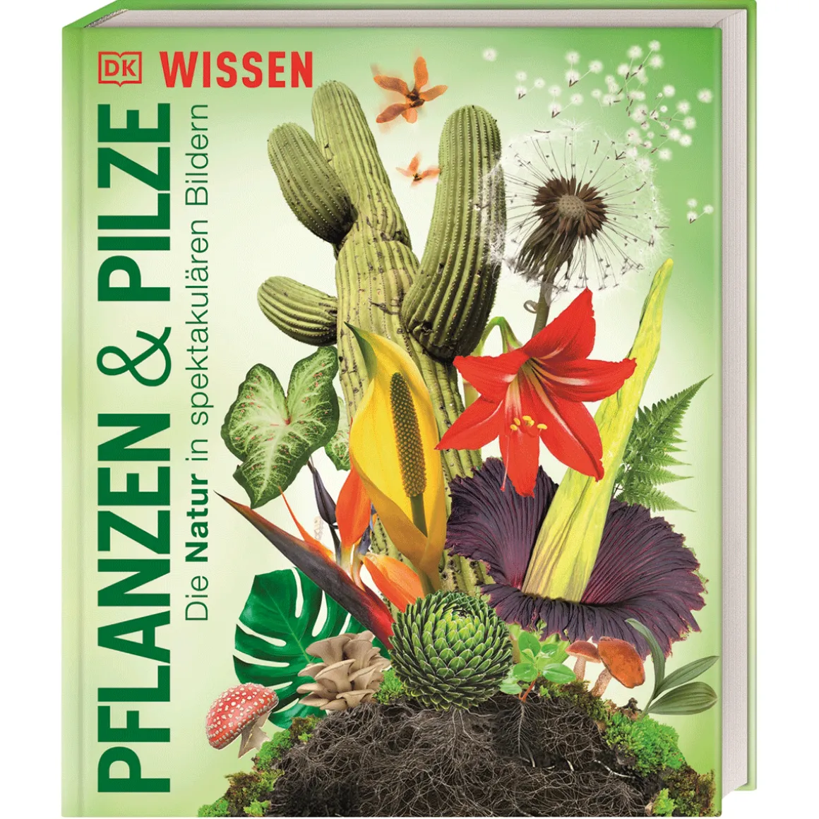 DK Wissen. Pflanzen und Pilze: Die Natur in spektakulären Bildern. Für Kinder ab 8 Jahren.