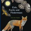 Eule, Fuchs und Fledermaus. Tiere der Nacht.
