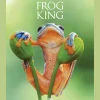 Frog King. Der Frosch. Symbol der bedrohten Natur.
