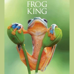 Frog King. Der Frosch. Symbol der bedrohten Natur.