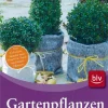 Gartenpflanzen richtig überwintern.