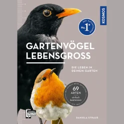 Gartenvögel lebensgroß.
