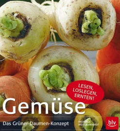 Gemüse. Das Grüner-Daumen-Konzept.