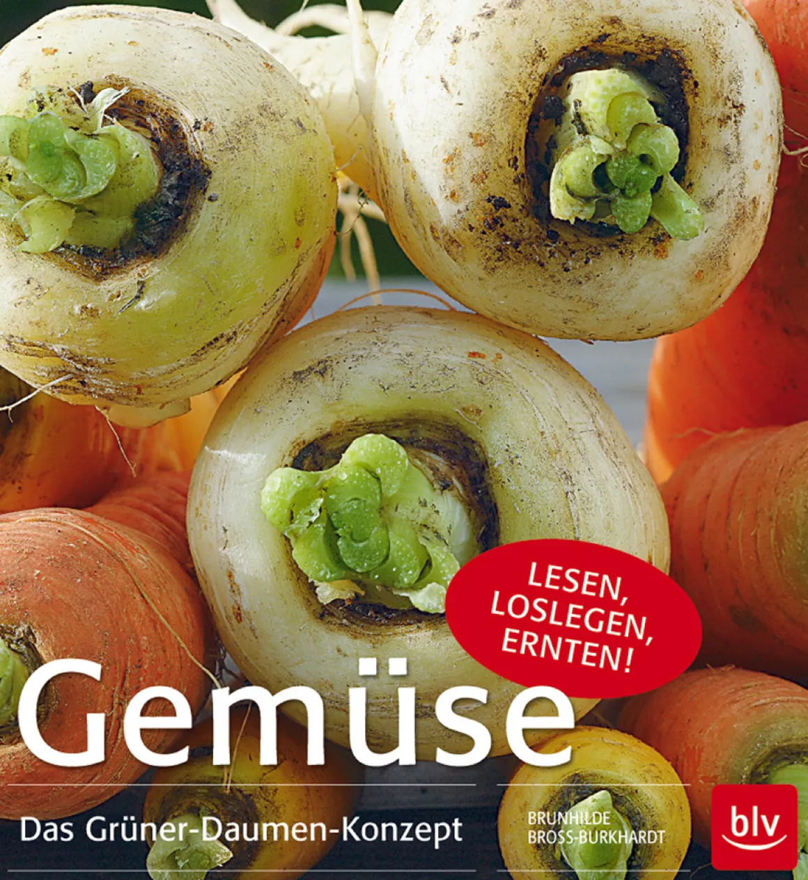 Gemüse. Das Grüner-Daumen-Konzept.