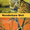 Gomille , Wunderbare Welt
