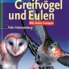 Greifvögel und Eulen.
