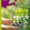 Grün & Günstig. Ein schöner Garten für wenig Geld