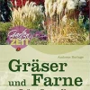 Gräser und Farne. Grüne Oasen für Sonne und Schatten.