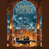 Harry Potter und die Kammer des Schreckens (Harry Potter 2): Kinderbuch-Klassiker ab 10 Jahren über Hogwarts und den bekanntesten Zauberer der Welt.