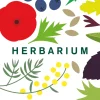 Herbarium. 100 Kräuter - Geschichte, Wirkung, Verwendung.