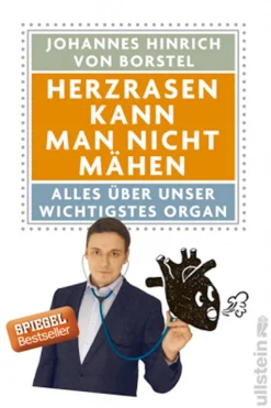 Herzrasen kann man nicht mähen. Alles über unser wichtigstes Organ.