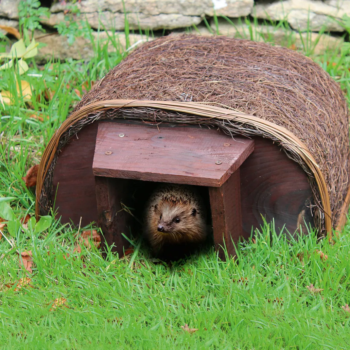Igelhaus mit Tunnelzugang.